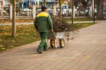 Sweeper pushing  a wheelbarrow full of twigs. Seasonal cleaning of park area. Concept of cleaning...