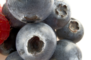 Fresh blueberry isolated on white background. closeup