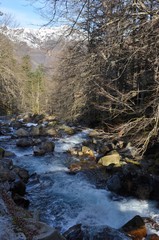 Vallée de Lutour, Cauterets, Pyrénées, France