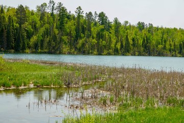 Beautiful Lake Itasca in summer
