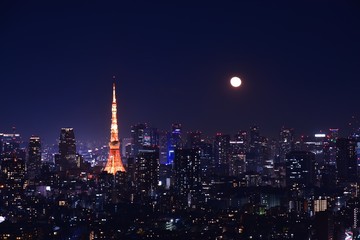 東京の夜景