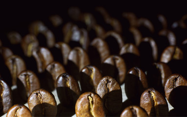 roasted aromatic coffee beans arranged in straight rows