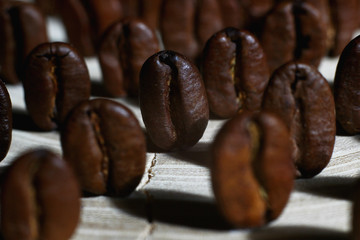 fragrant roasted coffee beans laid out in rows