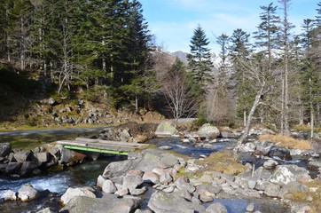 Vallée de Lutour, Cauterets, Pyrénées, France