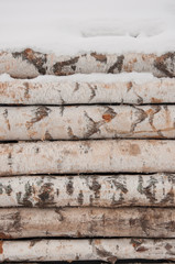 texture of wood log pile background