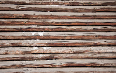 Obraz premium texture of wood log pile background