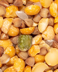 Peas, buckwheat and rice as a background