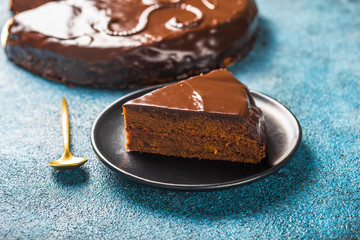 cake slice. Traditional Austrian chocolate dessert. Homemade baking. Selective focus, close-up.