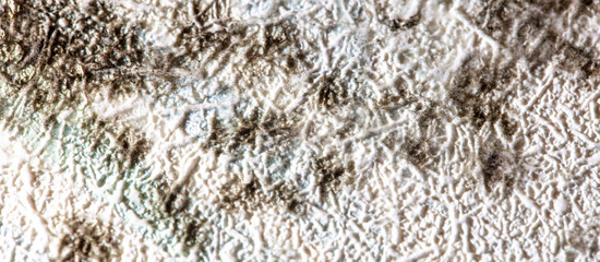Mold on the wallpaper on the wall in the room