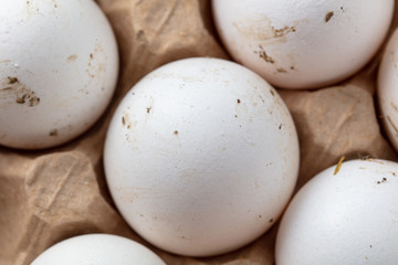 Fresh chicken eggs in industrial mud as a background