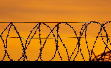 barbed wire on the fence against the backdrop of the sunset.