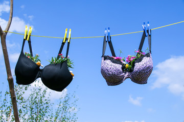 Funny photo of recycled old bra/brassier pegged on a washing line with plants growing in the cups against a blue sky