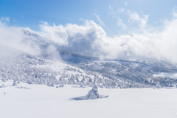 Towada Hachimantai National Park in winter