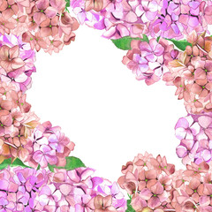 Fototapeta premium hydrangea frame