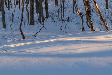 Towada Hachimantai National Park in winter