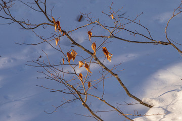 Towada Hachimantai National Park in winter