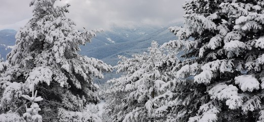 mountains in winter