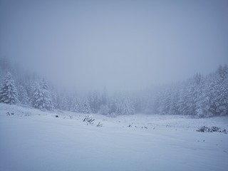 winter mountain landscape with snowy trees and snow