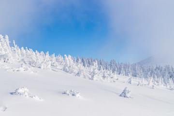 Towada Hachimantai National Park in winter