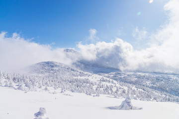 Obraz premium Towada Hachimantai National Park in winter