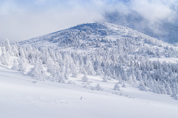 Obraz premium Towada Hachimantai National Park in winter