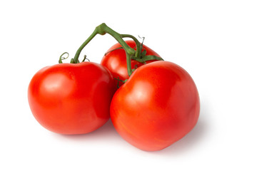 tomatoes isolated on white background