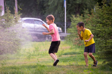 Funny boys playing with a garden sprinkler in a sunny courtyard. Preschooler kid having fun with splashing water. Summer outdoor recreation for children