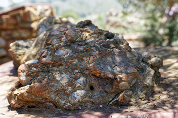Alluvial conglomerate, formed by rounded pebbles and ground cementation. Ancient rock at the Barberton Makhonjwa Geotrail