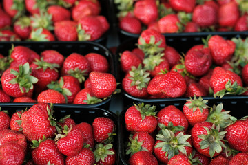 Natural organic strawberries in boxes at a farmers market 