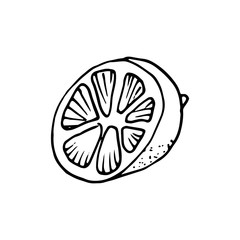 Vector hand drawn lime set. Whole lime, sliced pieces, half, leaf and seed sketch. Vintage retro style drawing for tea, juice, cosmetics. Tropical summer fruit isolated on a white background.