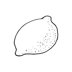 Vector hand drawn lime set. Whole lime, sliced pieces, half, leaf and seed sketch. Vintage retro style drawing for tea, juice, cosmetics. Tropical summer fruit isolated on a white background.