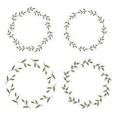 Four round frames made of green branches with leaves. Wreaths on white background for your design