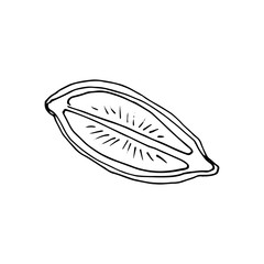 Vector hand drawn lime set. Whole lime, sliced pieces, half, leaf and seed sketch. Vintage retro style drawing for tea, juice, cosmetics. Tropical summer fruit isolated on a white background.