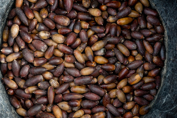 acorns in basket collection ready to eat or sow