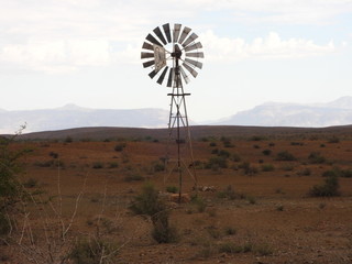 Windmill in late afternoon in Karoo landscape