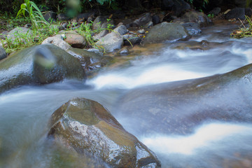 spring water mountain river shot with long exposure, Beautiful flowing water 