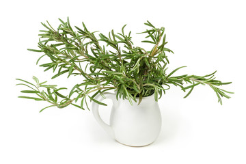 Rosemary twigs in small white jug on a white background