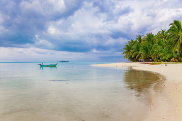 Palm, Water and Beach View on Maldive Coast