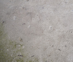 texture of gray cracked cement, element for the designer