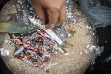 A woman is cutting the belly the fish and taking away the intestines,  Which may have parasites in...