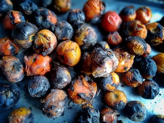 plums on white background
