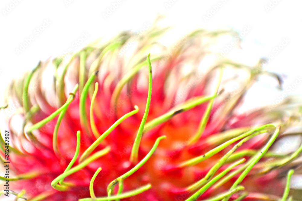 Wall mural Close up red rambutan fruit with green hair,selective focus and blur image