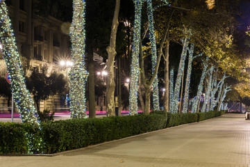 New Year's garlands on trees on Baku Boulevard
