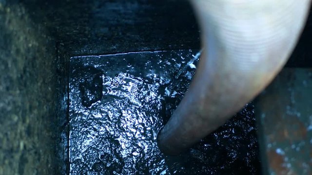 Septic cesspool emptying pumping into pipe tank by suction hose under high pressure. The sump contains pollution sludge sewage water black wastewater and faeces plus excrements from home