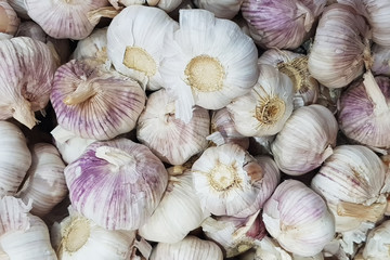 garlic in spices texture background