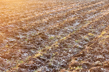 plowed frozen field in sunset light