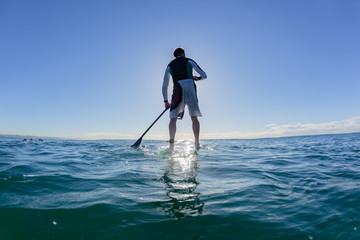 Surfer Stand Up Paddle Surfing Surfboard Silhouetted Rear Water Photo Ocean Blue Sky Landscape