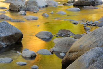 Golden Reflection of Fall Faliage