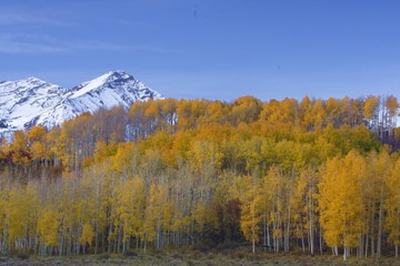 Cororado Fall Faliage