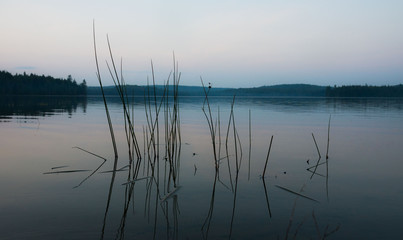reflection of scenic lake view with plants in foreground and mountains in the background, perspective close to surface of the water, Canada